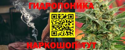 стафф Ставрополь