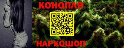 стафф Ставрополь