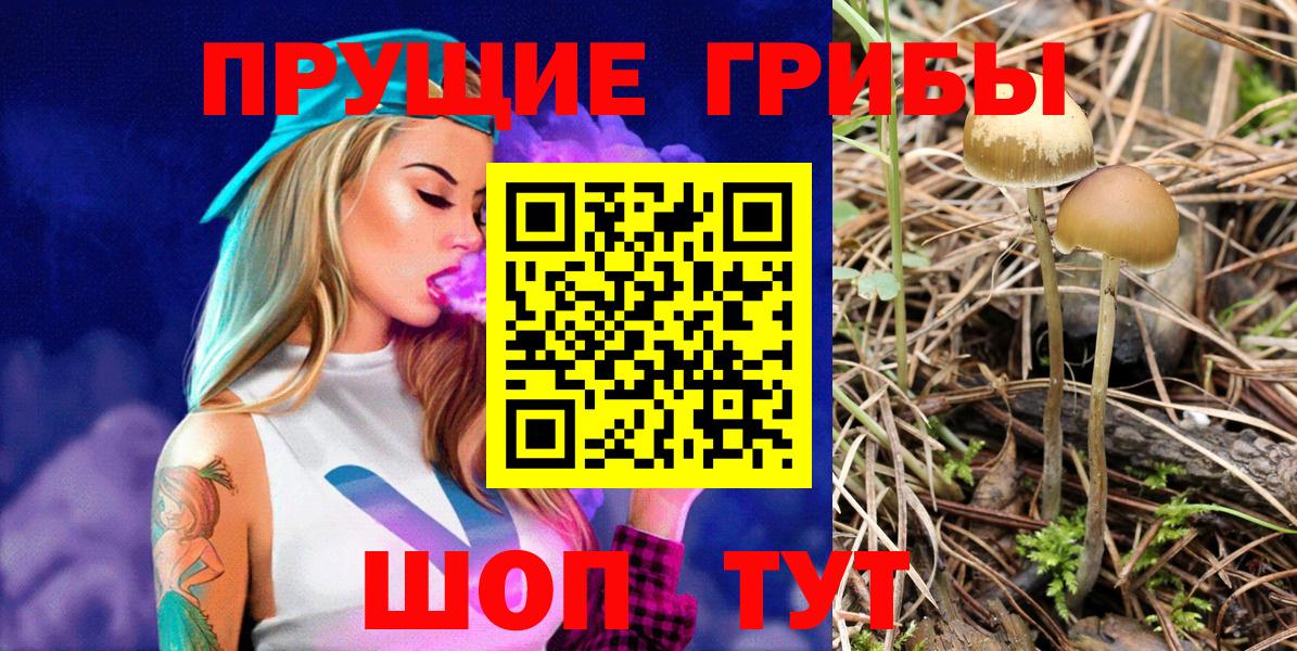 Галлюциногенные грибы ЛСД Ртищево